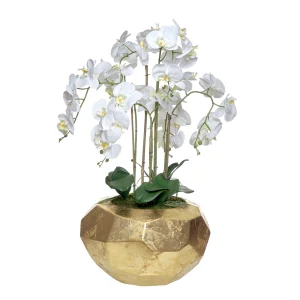 ORQUÍDEA 46158